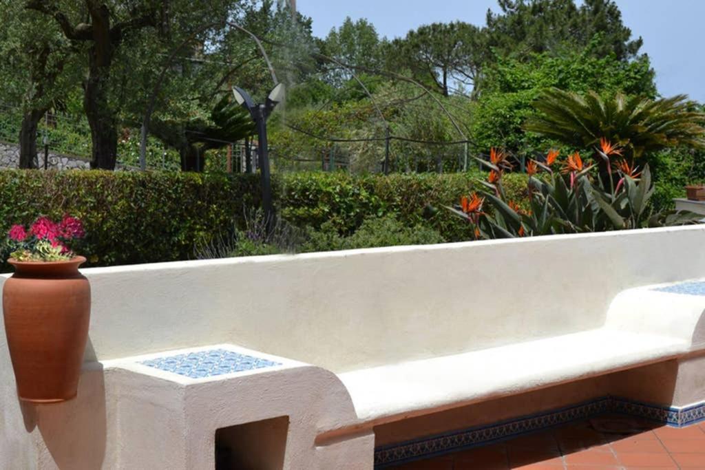 Casa Joyce Daire Sorrento Dış mekan fotoğraf