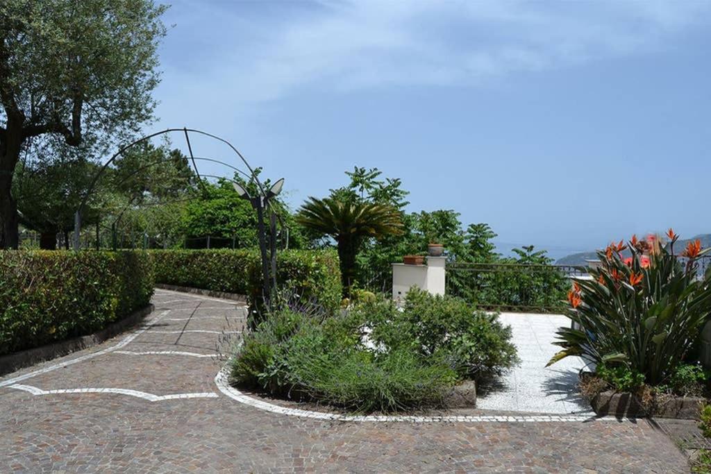 Casa Joyce Daire Sorrento Dış mekan fotoğraf